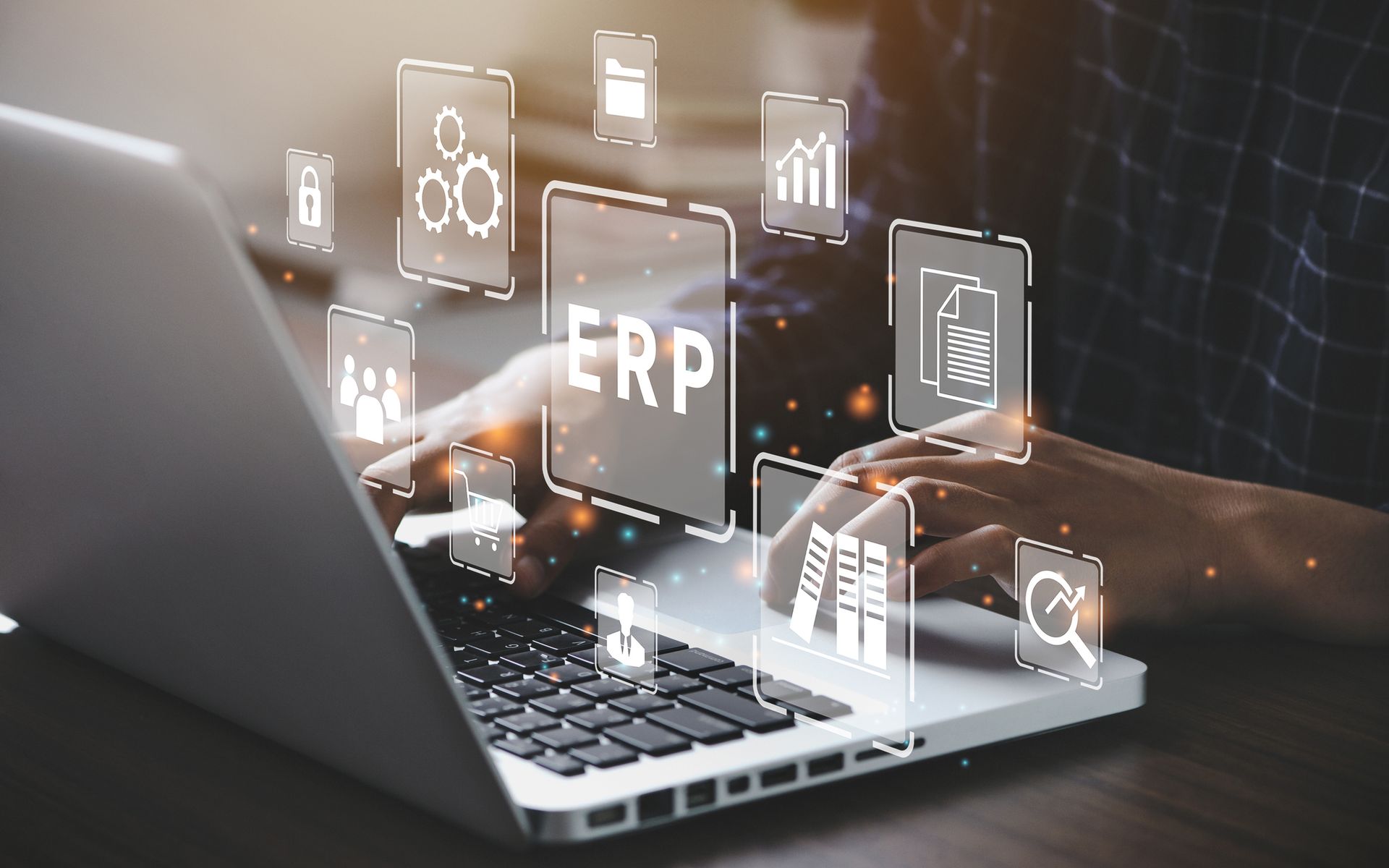Erp man at computer
